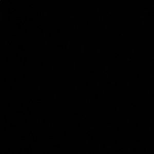 Meet your Posher, Ami